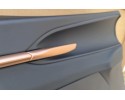 BACON DOOR CUPRA TERRAMAR LEATHER LED ORIGINAL NEW SET Installation side front left