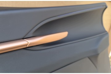 BACON DOOR CUPRA TERRAMAR LEATHER LED ORIGINAL NEW SET Installation side front left