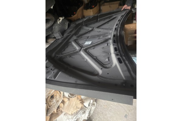MITSUBISHI LANCER 2007 MASK FRONT Part manufacturer Mitsubishi OE