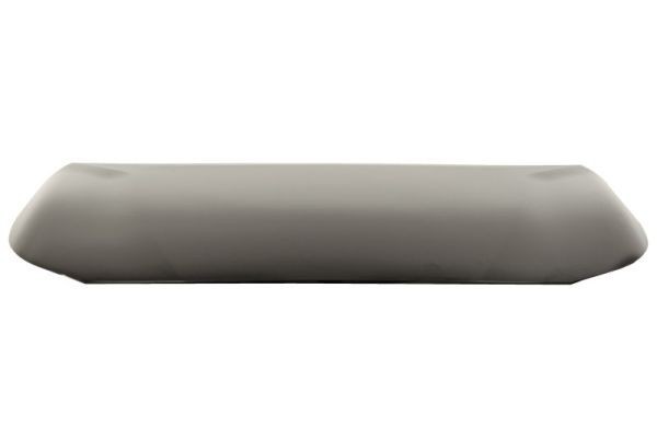 Engine cover Suzuki Swace Toyota Corolla E21 03 18 hatchback steel