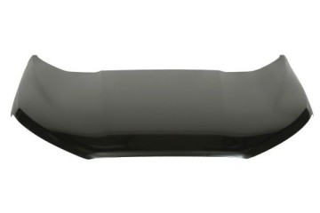 Engine cover Ford Ecosport 10 17 steel Catalog number of the part 6803 00 2594280P