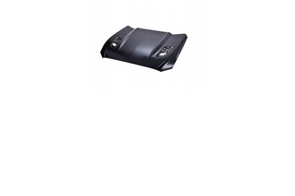 FORD MUSTANG GT 2013 ENGINE COVER MASK