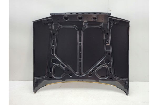 RENAULT 21 MASK Car type passenger cars
