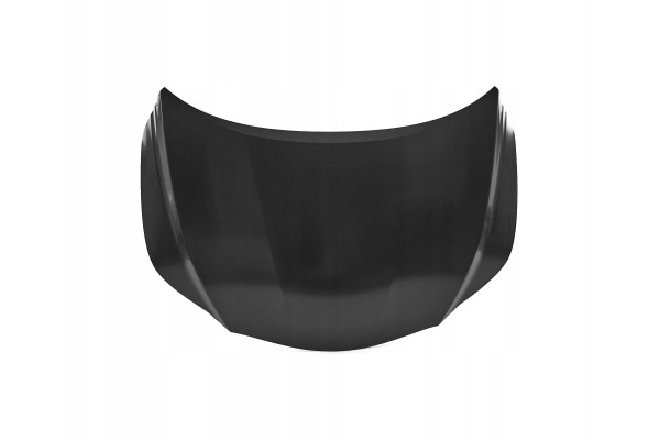 LEXUS RX350 450H 2015 2022MASK