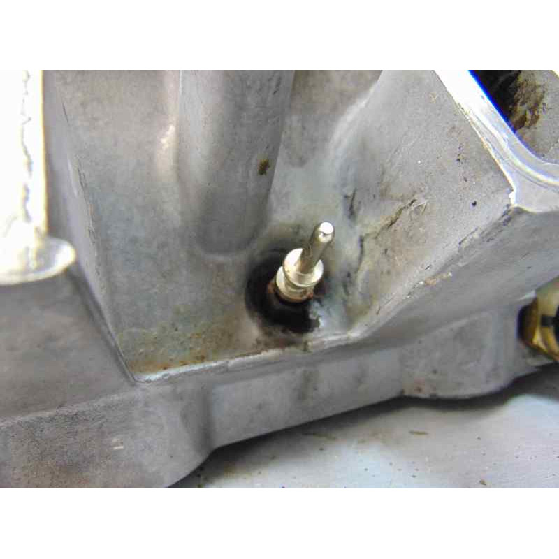 22466019 CULATA BMW SERIE 3 BERLINA (E46)