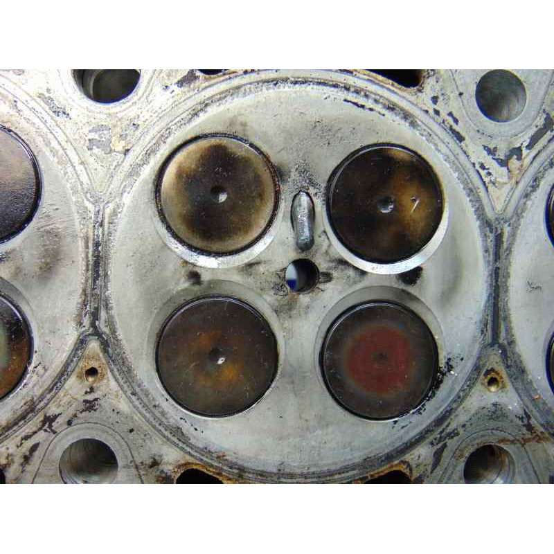 22466019 CULATA BMW SERIE 3 BERLINA (E46)
