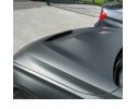 Capó BMW F30 F31 F32 F33 F36 Estilo M3 M4 GTS