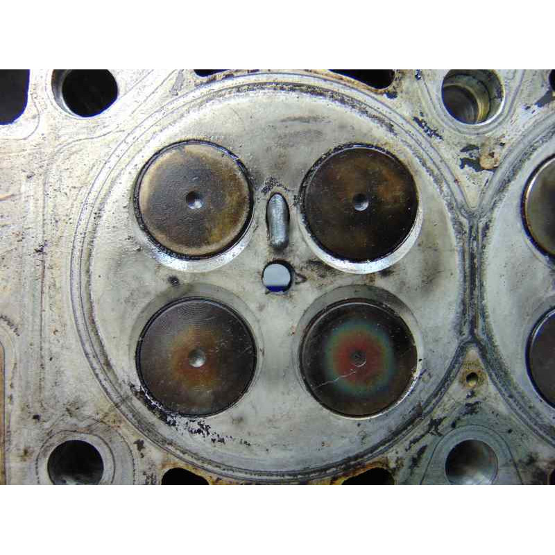 22466019 CULATA BMW SERIE 3 BERLINA (E46)