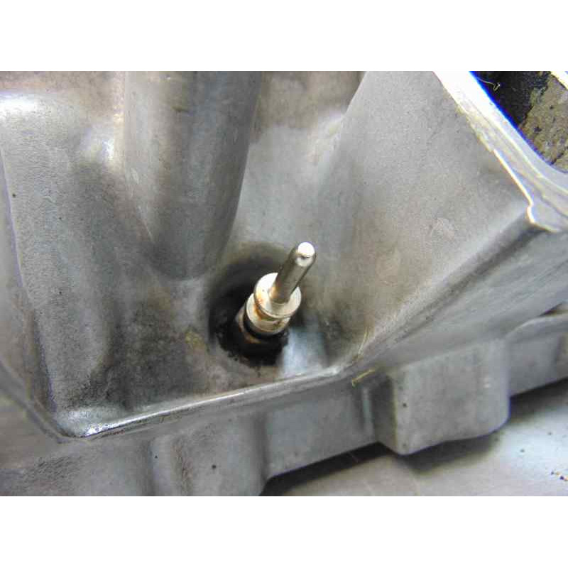 22466019 CULATA BMW SERIE 3 BERLINA (E46)