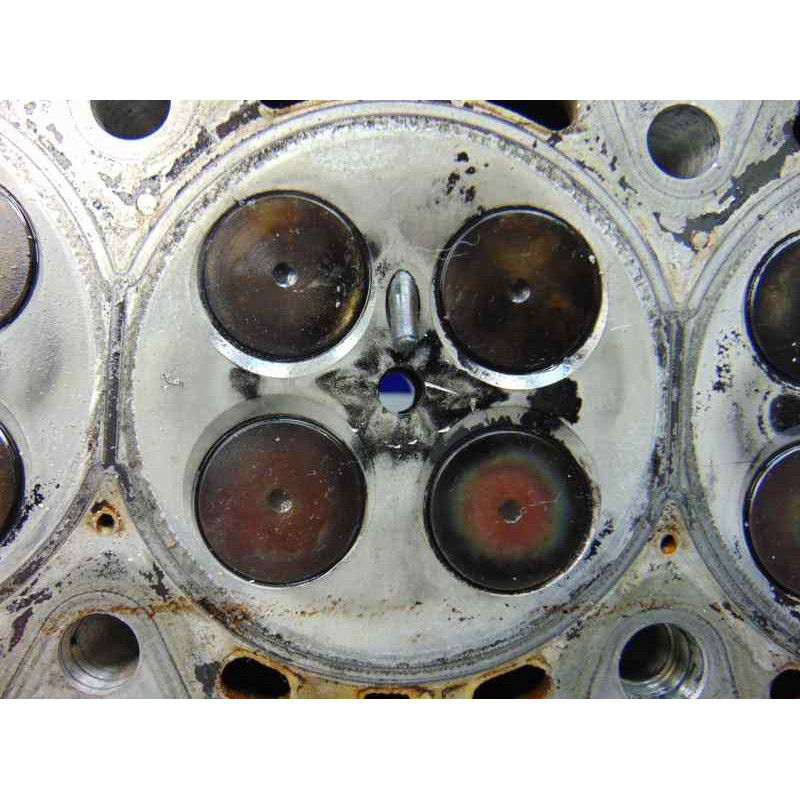 22466019 CULATA BMW SERIE 3 BERLINA (E46)