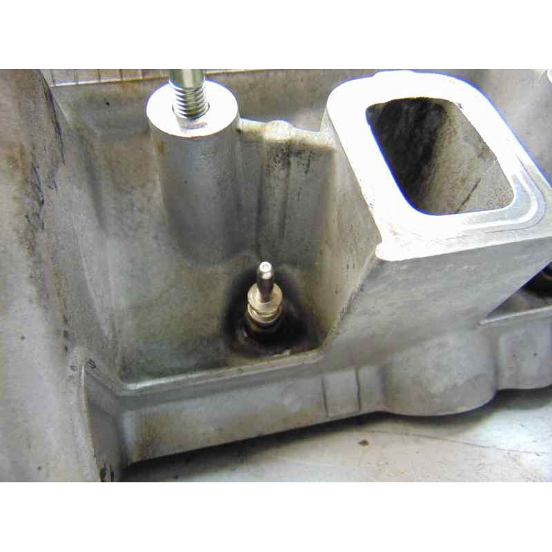 22466019 CULATA BMW SERIE 3 BERLINA (E46)