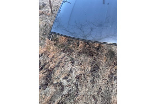 FORD MUSTANG VI 21 r roof Packaging status original