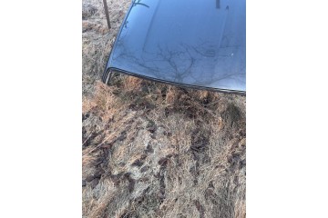 FORD MUSTANG VI 21 r roof Packaging status original