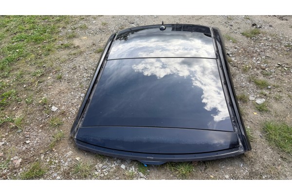 DACH PANORAMA MERCEDES S W222 LONG 197