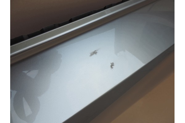 Puerta Trasera Izquierda Lexus ES 2018-2019