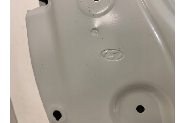 Puerta Delantera Izquierda Original Hyundai i20 II 2012-2019