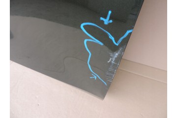 LEXUS NX II 2021 2022 2023 FRONT RIGHT DOOR Color to be painted