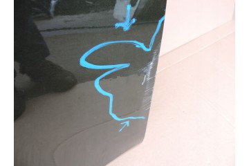 Puerta Delantera Derecha Lexus RX V 2022 2023 2024