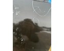 Door rear right Renault Megane 4 NEW 821006310R Color to be painted