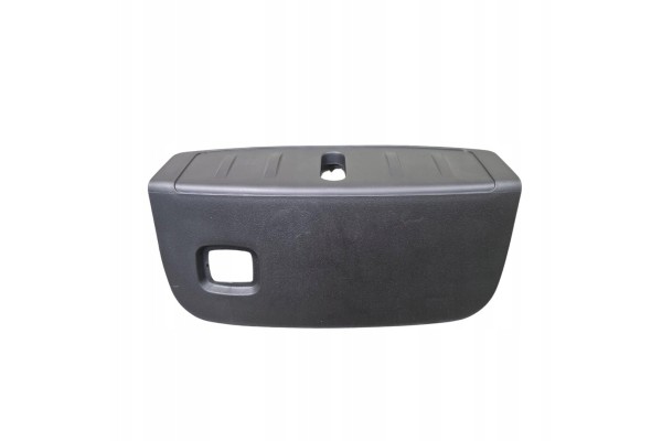 Trunk cover TESLA MODEL 3 07 17 12 23 109585800D