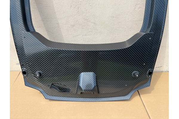 Portón Trasero Mercedes Black Series A190 Carbono
