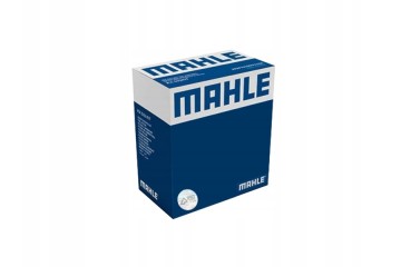 Compresor de aire acondicionado Mahle ACP 1177 000S
