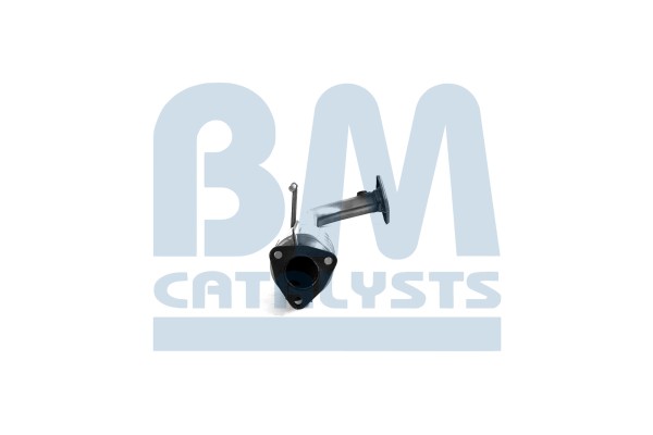 Catalyst BM CATALYSTS BM91159H Product weight 5 kg