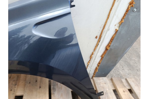 MUDGUARD LEFT RENAULT CLIO V 5 BEFORELIFT bja 08 19 06 23R LACQUER KPN Catalog number of the part BOTNIK LEWY RENAULT CLIO V 5 P