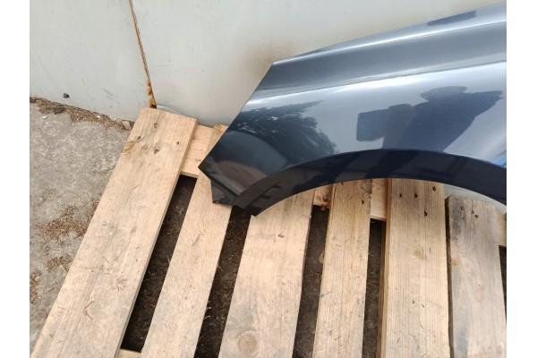 MUDGUARD LEFT RENAULT CLIO V 5 BEFORELIFT bja 08 19 06 23R LACQUER KPN Car type passenger cars