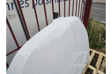Cubierta del Capó Motor Skoda Karoq NU7 desde 08.17 Código de Pintura 