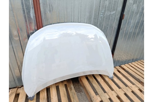 NISSAN MURANO Z52 11 14 8 18r III 3 BEFORELIFT QAB lacquer