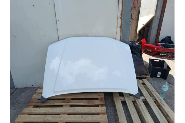 MASK NISSAN NAVARA FRONTIER D40 PATHFINDER R51 04 10r beforelift lacquer 326