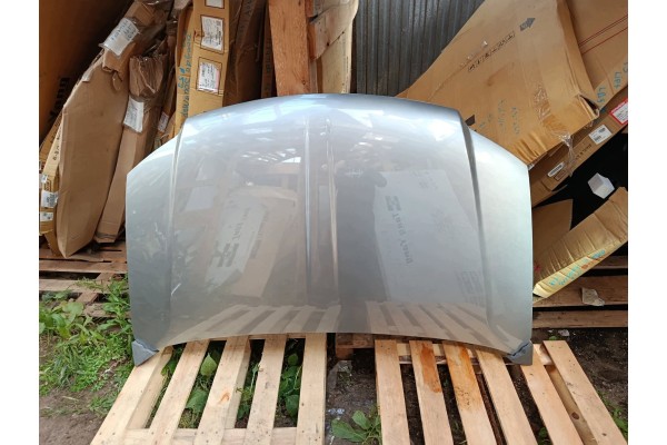 MASK STEEL COVER DODGE GRAND CARAVAN RT 01 11 08 20r PSC JSC lacquer