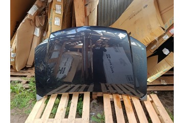 ALUMINIUM MASK COVER DODGE GRAND CARAVAN RT 01 11 08 20r lacquer PAR