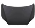 Engine cover Mask steel CHEVROLET AVEO HB T255 04 08 05 11 95164301