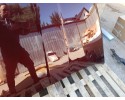 MASK COVERS SKODA OCTAVIA 2 II LIFT BEFORELIFT 6 04 12 13 LACQUER 9893 LF3X Quality of parts according to GVO P replacement with