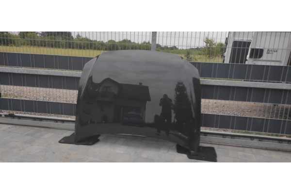 Engine cover mask Volkswagen Passat B8 LACQUER LB7R