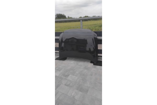 Cubierta del motor Volkswagen Passat B8 LACADO LB7R