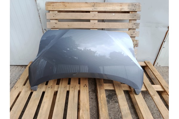 ENGINE COVER MASK STEEL HYUNDAI IX20 JC 09 10 05 19r LACQUER ZAR