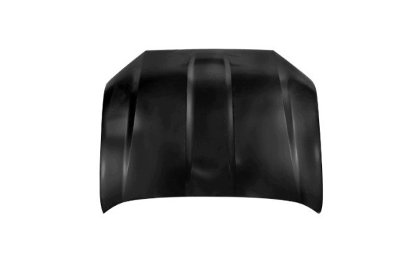 Engine cover Toyota LAND CRUISER 10 17 12 23 53301 60760