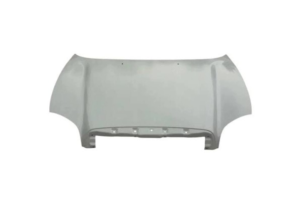Engine cover HYUNDAI SANTA FE SM 02 01 03 06 66400 26022 front