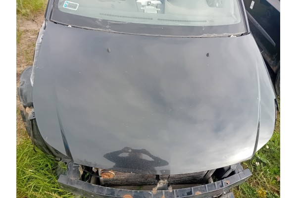 NAKED MASK FIAT SEDICI ZCE