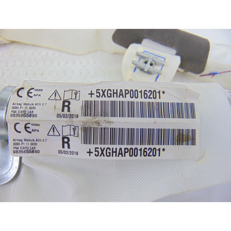 9835655880 AIRBAG CORTINA DELANTERO DERECHO DS 3 CROSSBACK