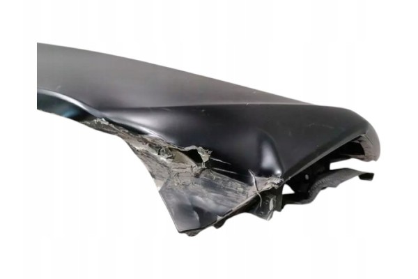 Panel Trasero LAMBORGHINI HURACAN LP640 EVO SPYDER 4T7809601B