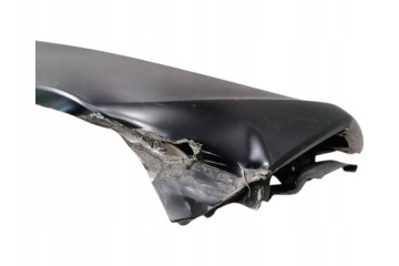 Panel Trasero LAMBORGHINI HURACAN LP640 EVO SPYDER 4T7809601B