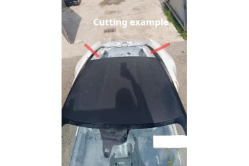 Aston Martin Vantage Coupe 2019 roof Catalog number of the part 319515