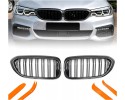 DUMMY GRILL KIDNEY BMW 5 G30 G31 CARBON COLOR 2 RIBS 2018 2020