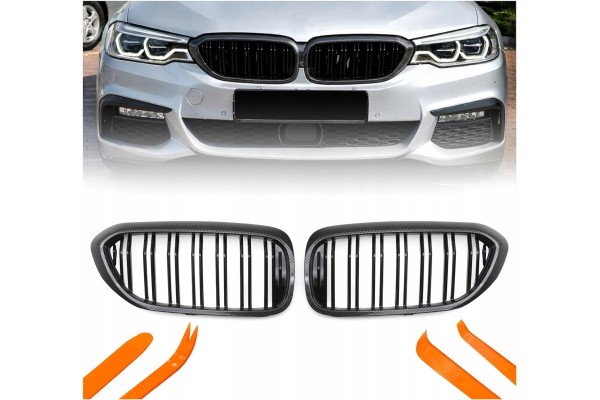 DUMMY GRILL KIDNEY BMW 5 G30 G31 CARBON COLOR 2 RIBS 2018 2020