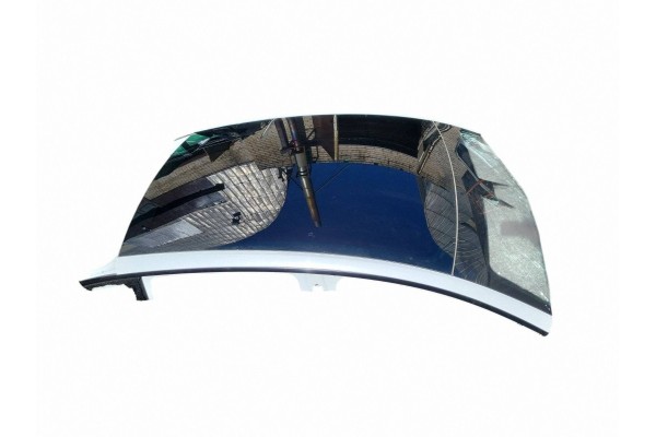 2022 Tesla Model Y Roof Car type passenger cars