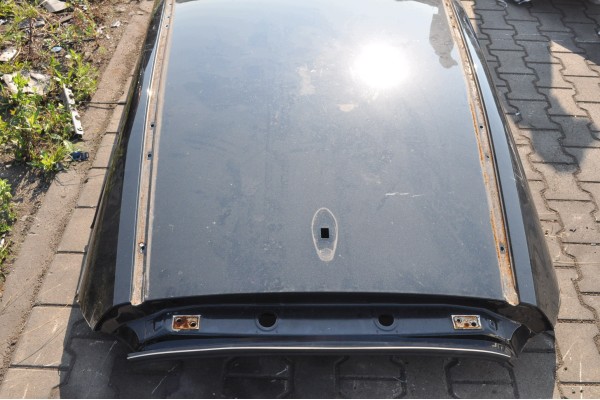 LEXUS NX II 450H 2 5 16V 309KM 2025r ROOF PLATING LACQUER 223 Car type passenger cars
